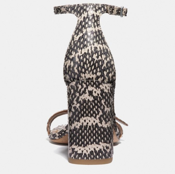 Coach Maya Signature Buckle Snake Print Sandals - Picture 4 of 7
